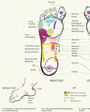 Amazon.com: ArtsyCharts Reflexology Chart- Feet, Hands, plus